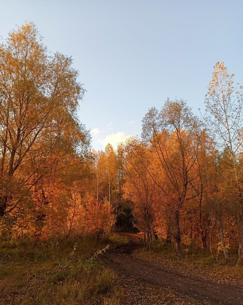 Photograph by Elena Bogomolova