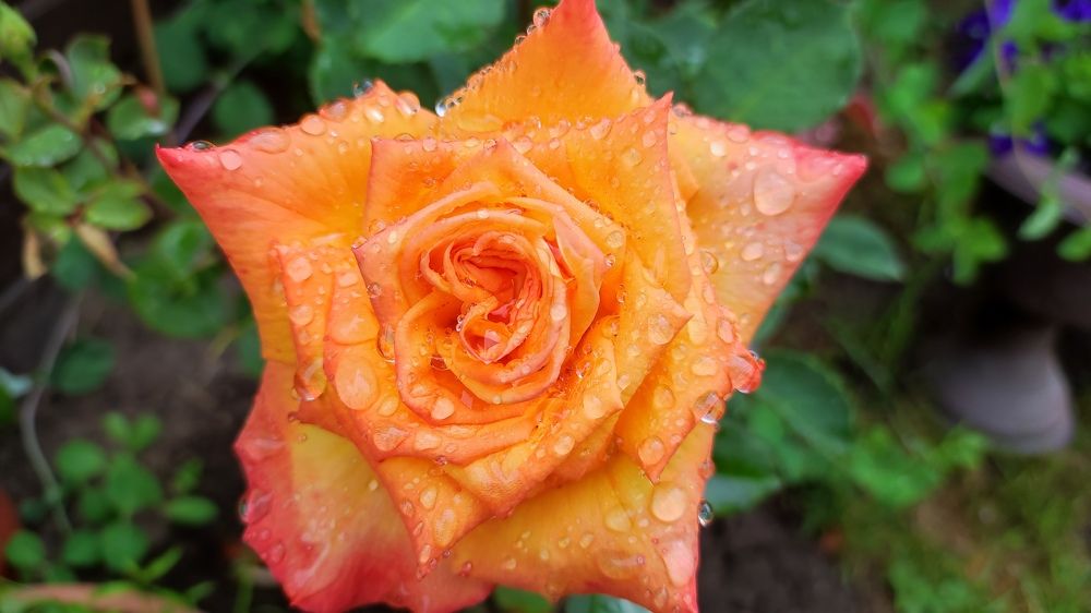 Photograph by Марийона Савоненко