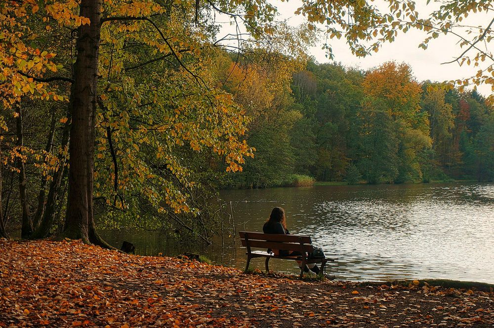 Photograph by Игорь Гомельский