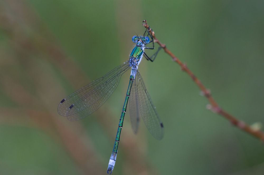 Photograph by Natalya Snegovaya