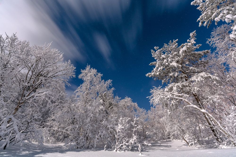 Photograph by Полякова Наталия