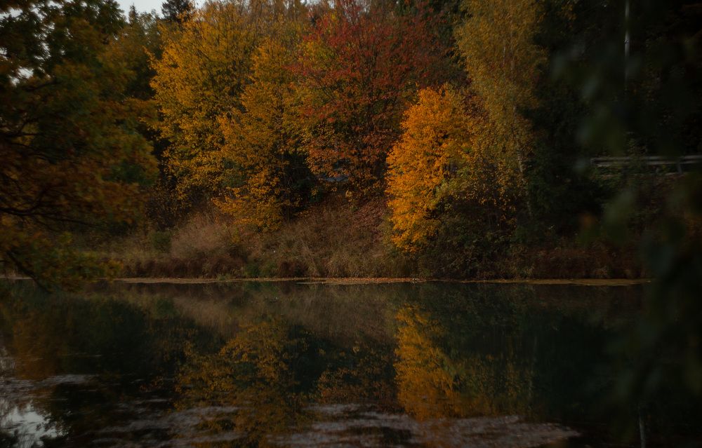 Photograph by Валерия