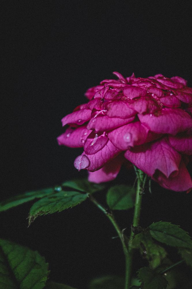 Photograph by Диана Козел