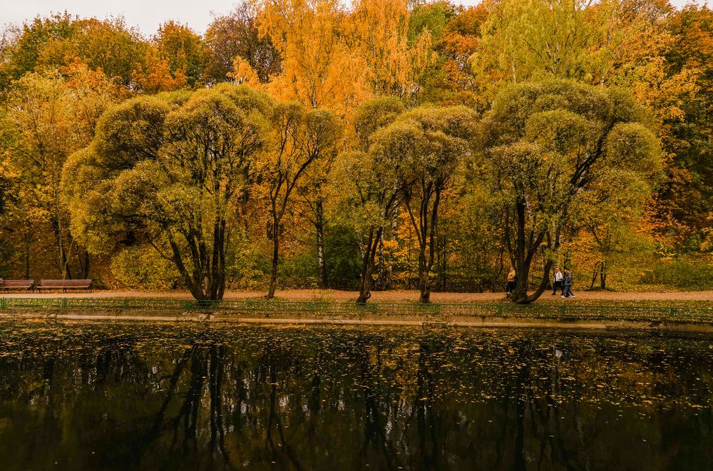 Photograph by Галина Бехметьева