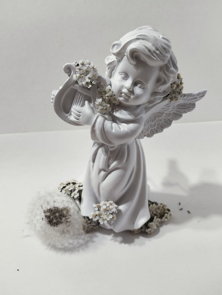 Photograph by Мария Опритова