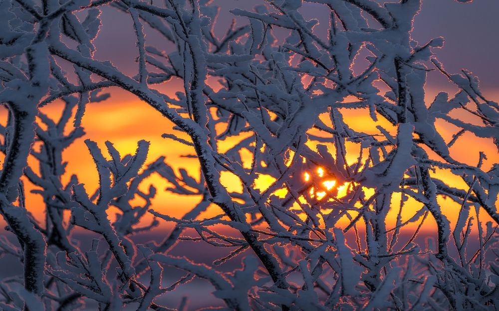 Photograph by Полякова Наталия