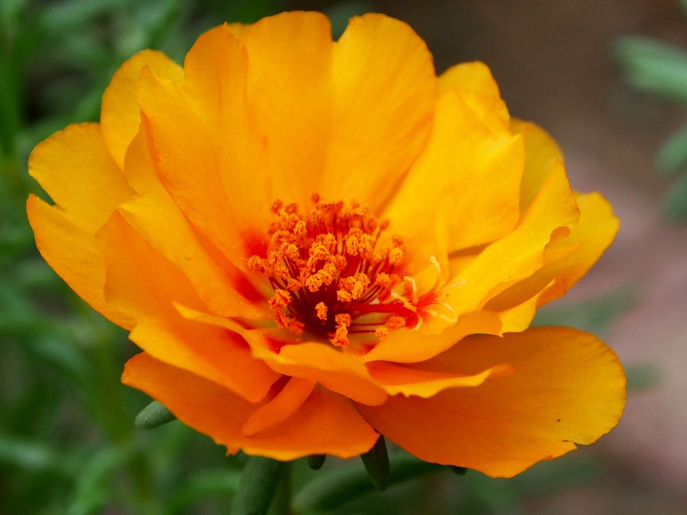 Photograph by Abdolreza Aleagha