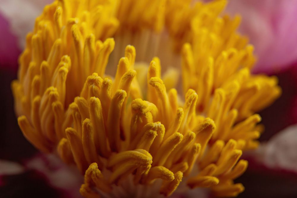 Photograph by Евгений Андреев