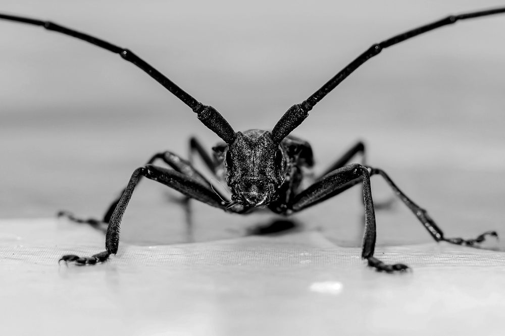 Photograph by Сергей Назаредский