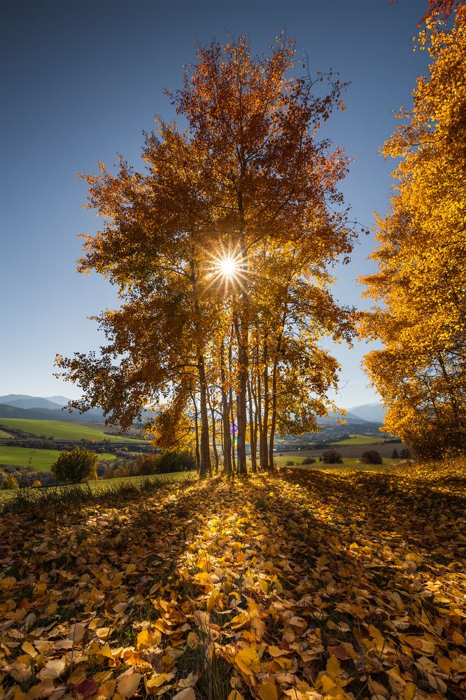 Photograph by Lubomir Perunko