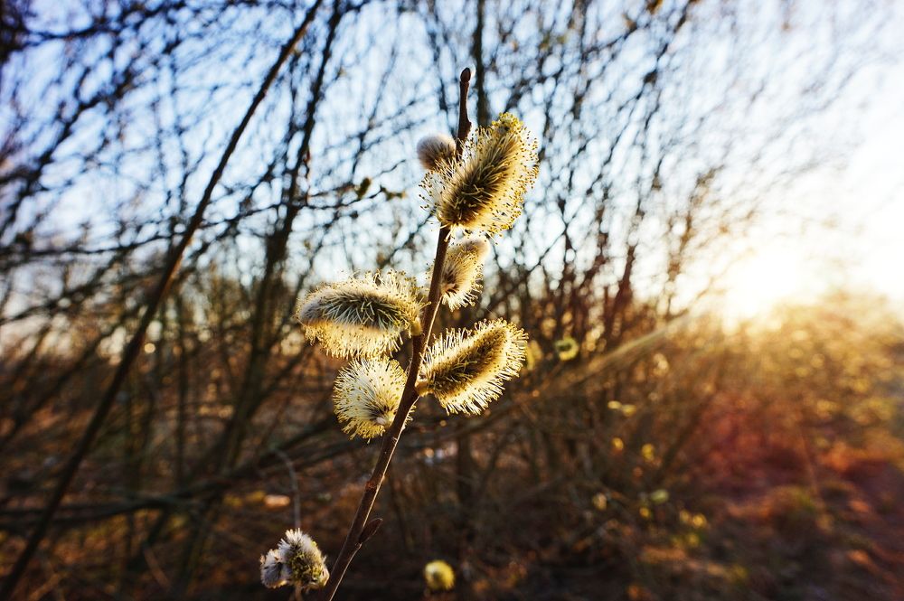 Photograph by Диана Козел