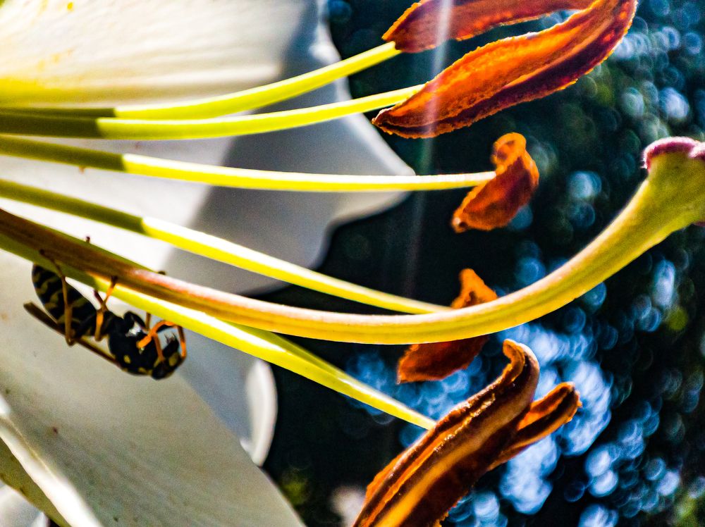 Фотография автора Нина Зинченко