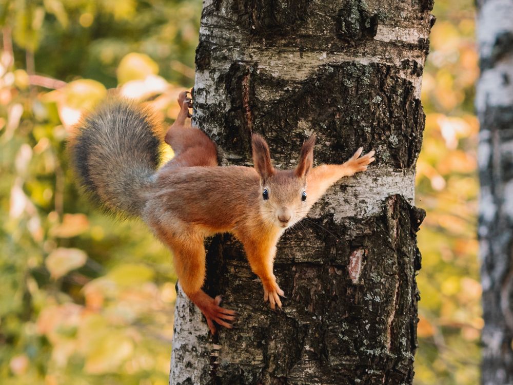 Photograph by Ольга Сергеева