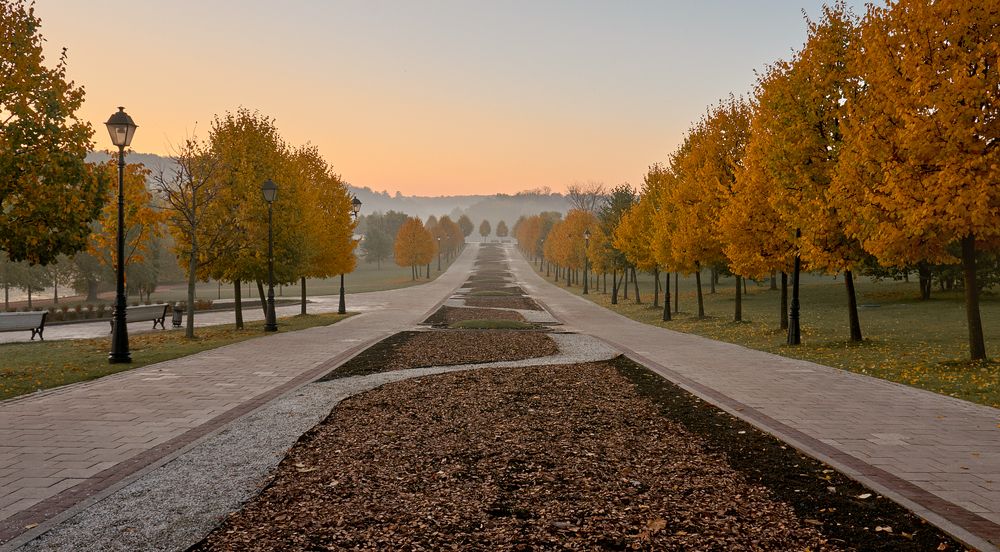 Photograph by Александр Гришин