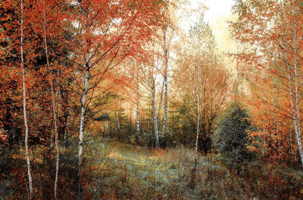 Photograph by Чурляев Максим