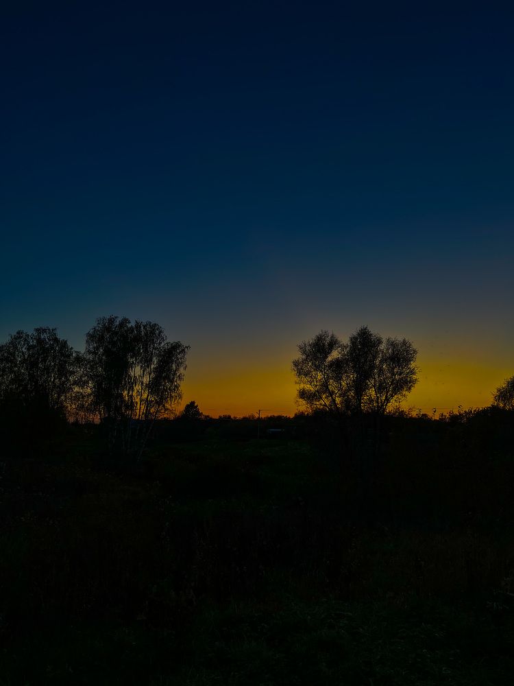 Photograph by Яна Мухина