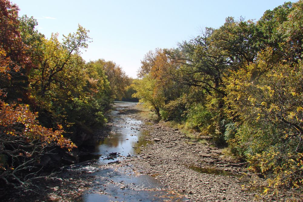 Photo #9576182
