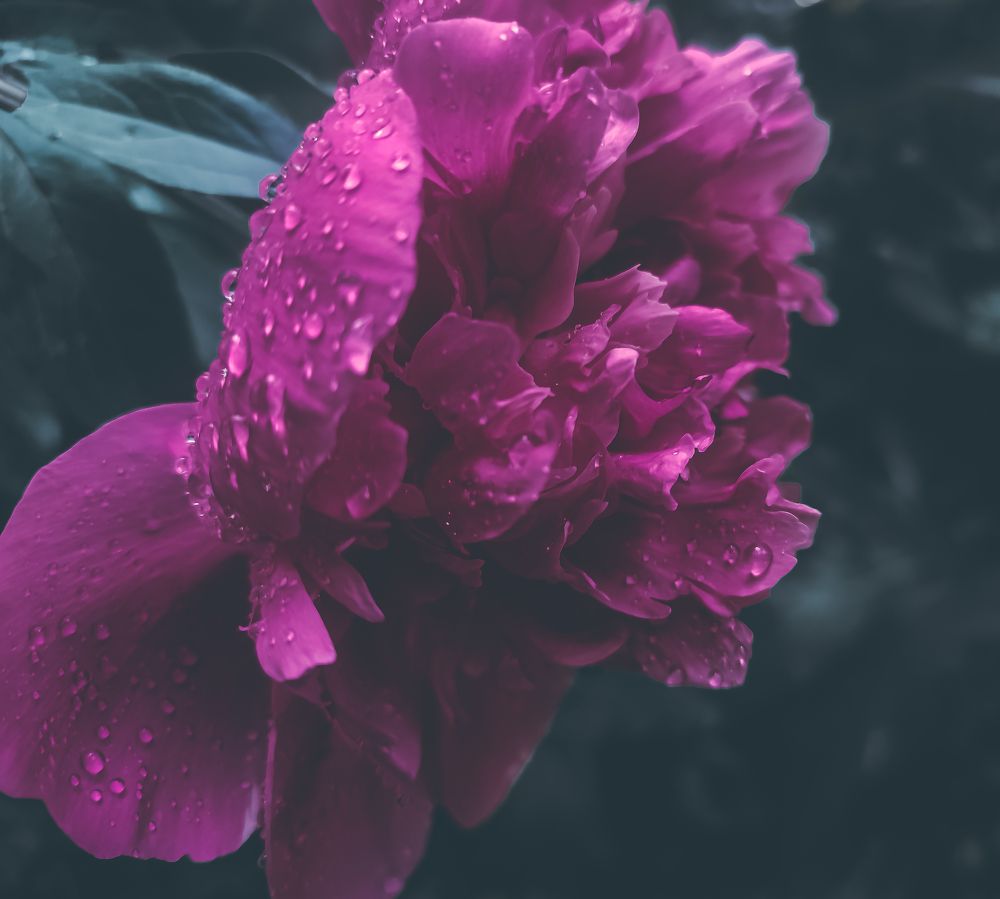 Фотография автора Нина Зинченко