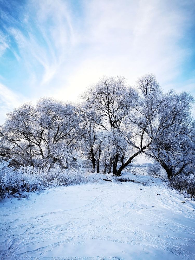 Photograph by Елена Артёменко