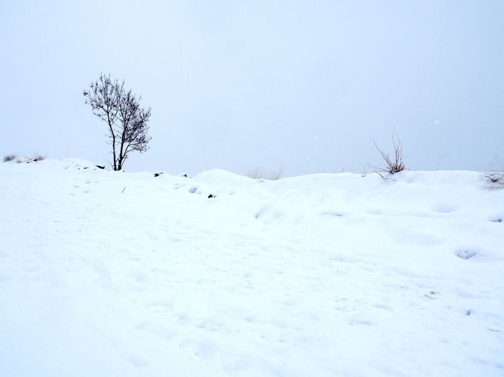 Photograph by Abdolreza Aleagha