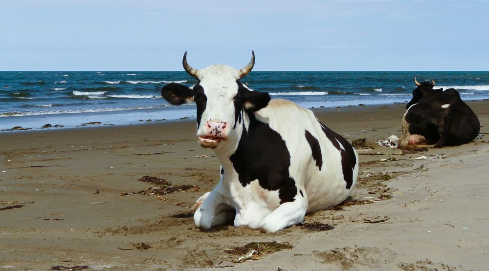 Неравномерный загар