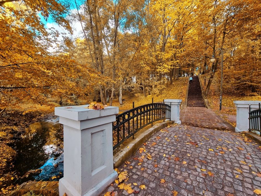 Photograph by Ирина Дубицкая