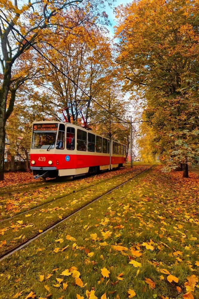 Photograph by Ирина Дубицкая