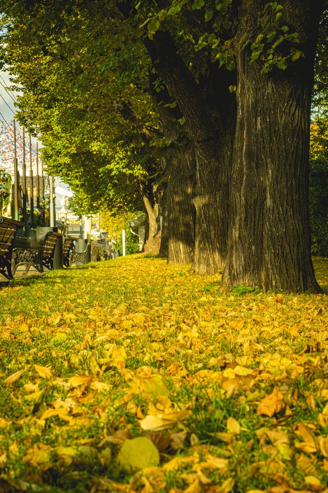 Photograph by Литвинов Николай