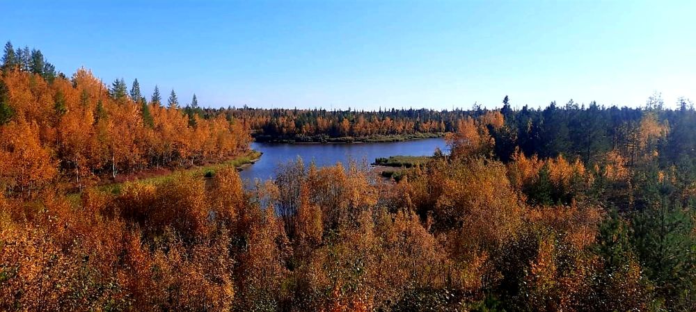 Photograph by Olga Александрова