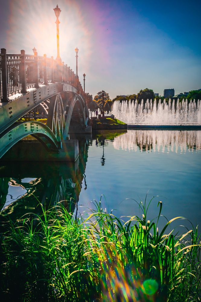 Photograph by Литвинов Николай