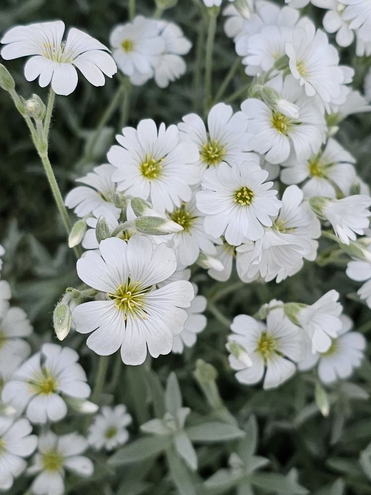 Photograph by Ирина Дубицкая