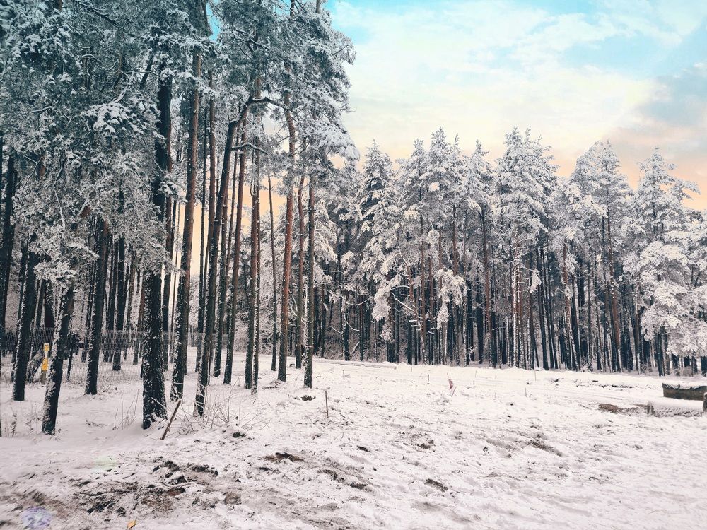 Photograph by Ирина Дубицкая