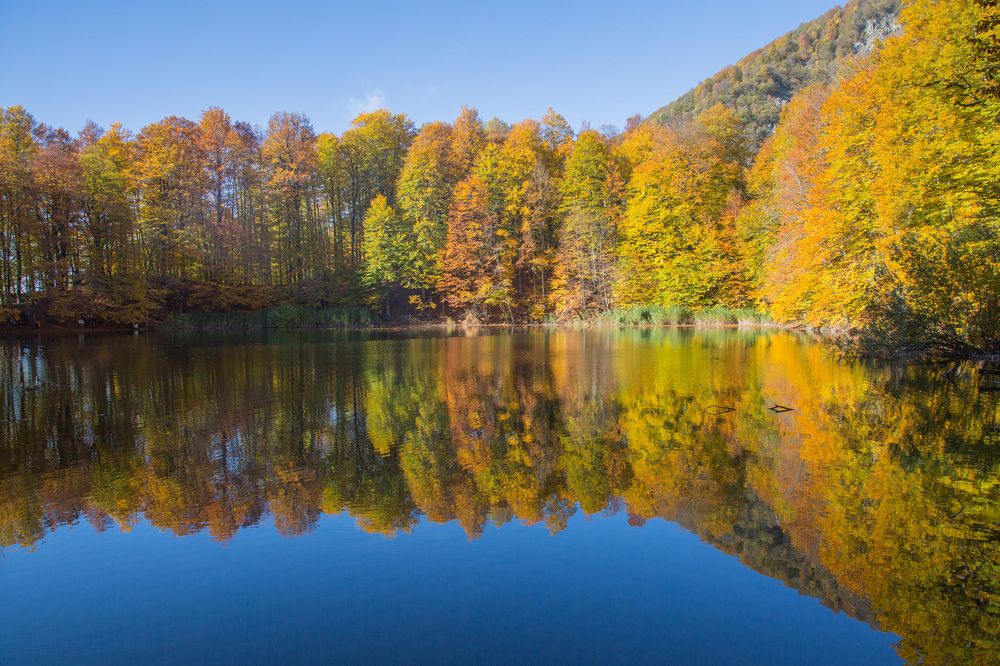 Photograph by Natalya Snegovaya