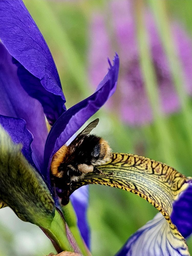 Photograph by Ирина Дубицкая