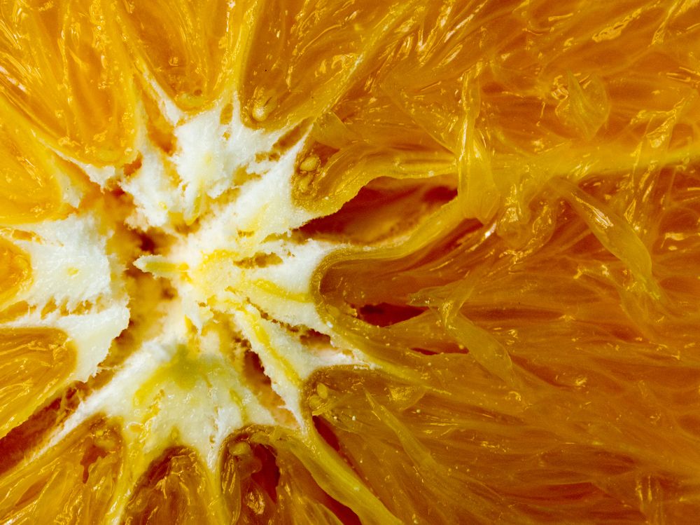 Photograph by Abdolreza Aleagha