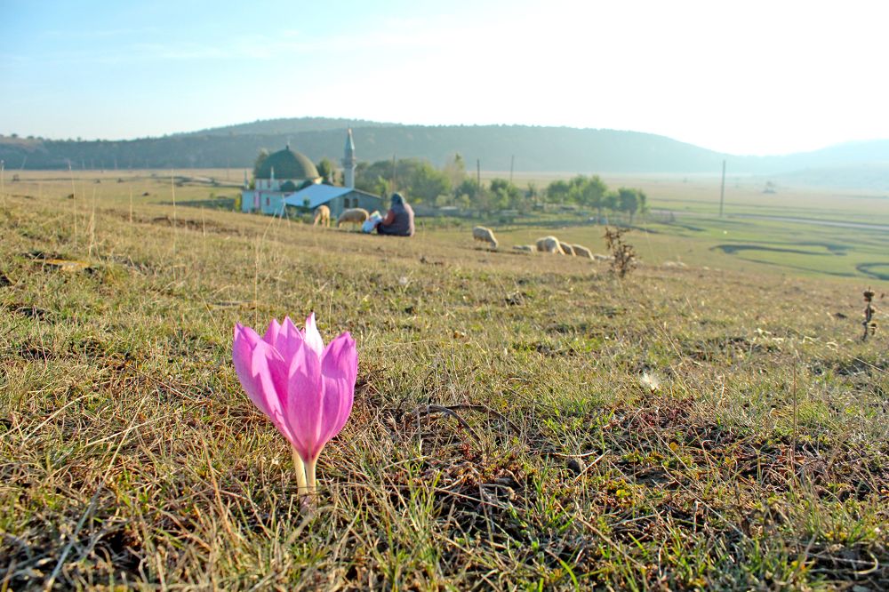 Photograph by Orhan Bektaş