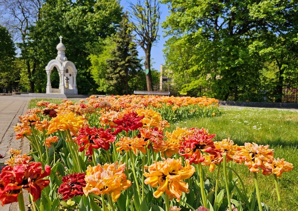 Photograph by Ирина Дубицкая