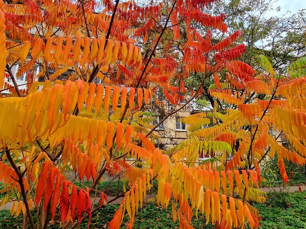 Photograph by Ирина Дубицкая