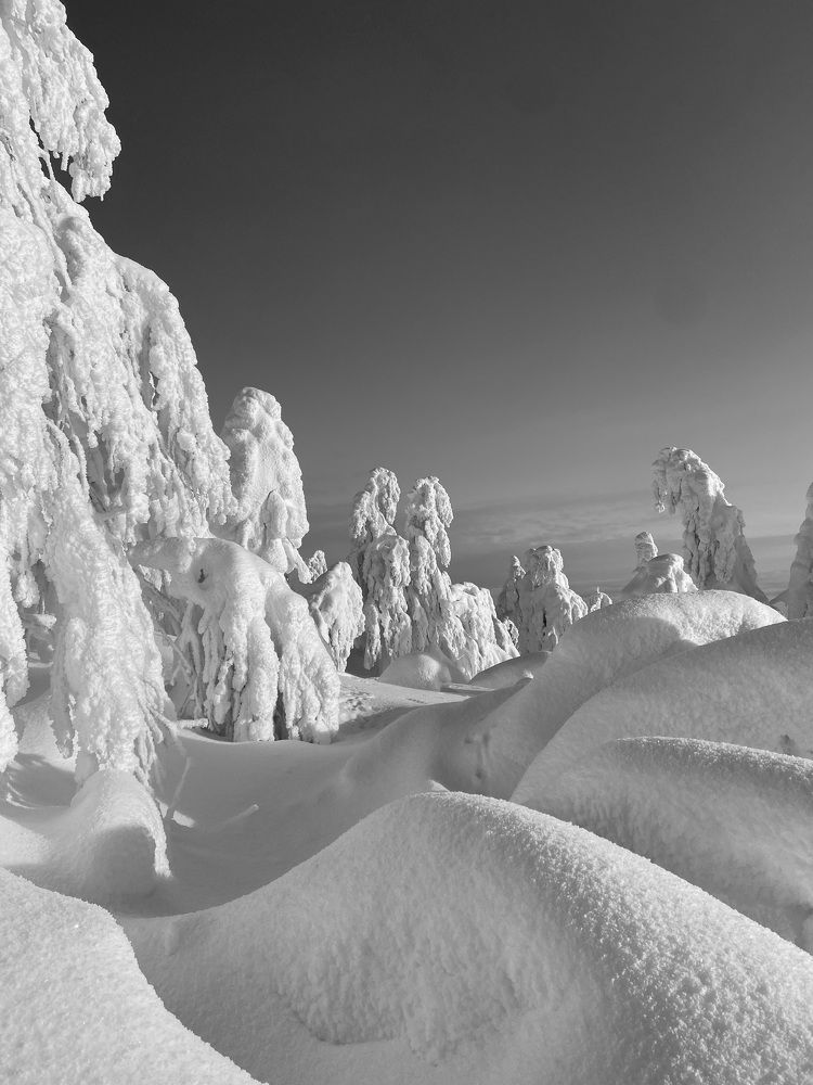 Photograph by Евгения