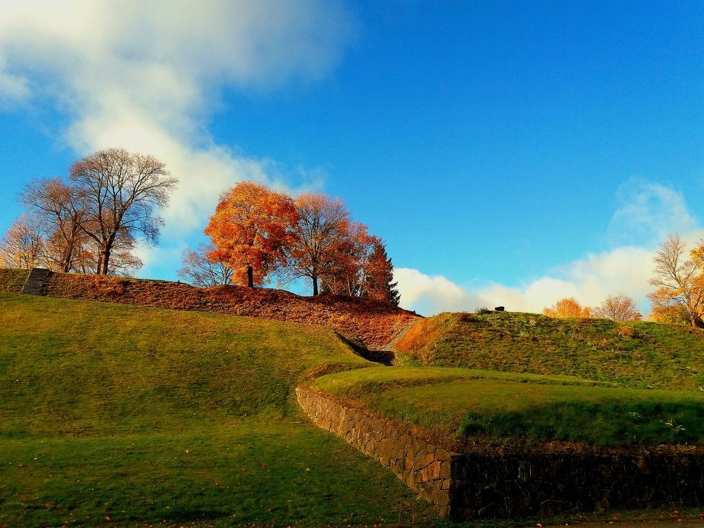 Фотография автора Наталья Бруёк