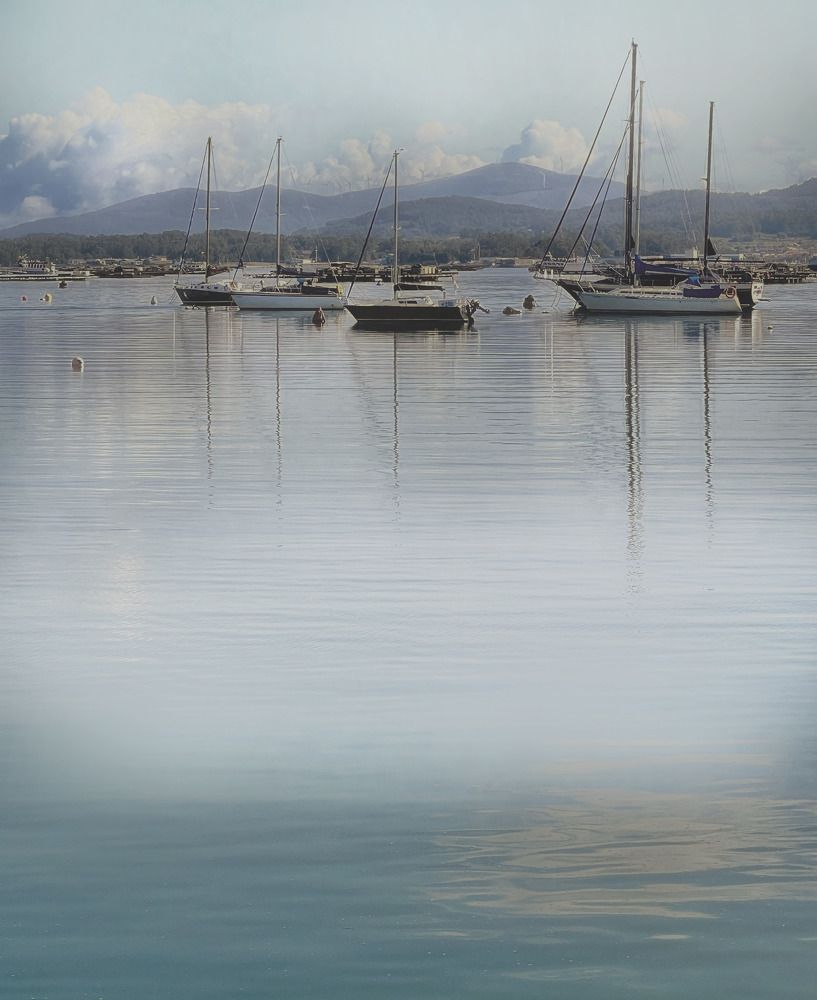 Photograph by Marisol Carrera Miguez