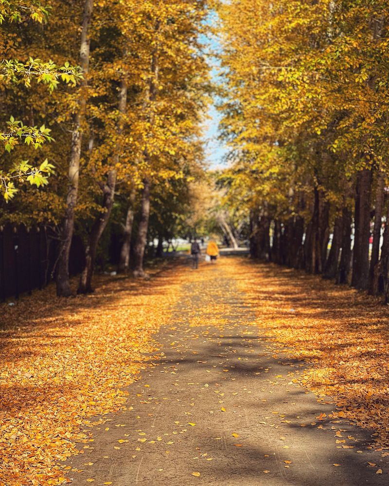 Photograph by Татьяна Волохова