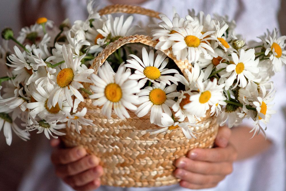 Фотография автора Марина Сокова