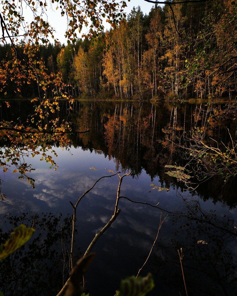 Photograph by Olga Kot