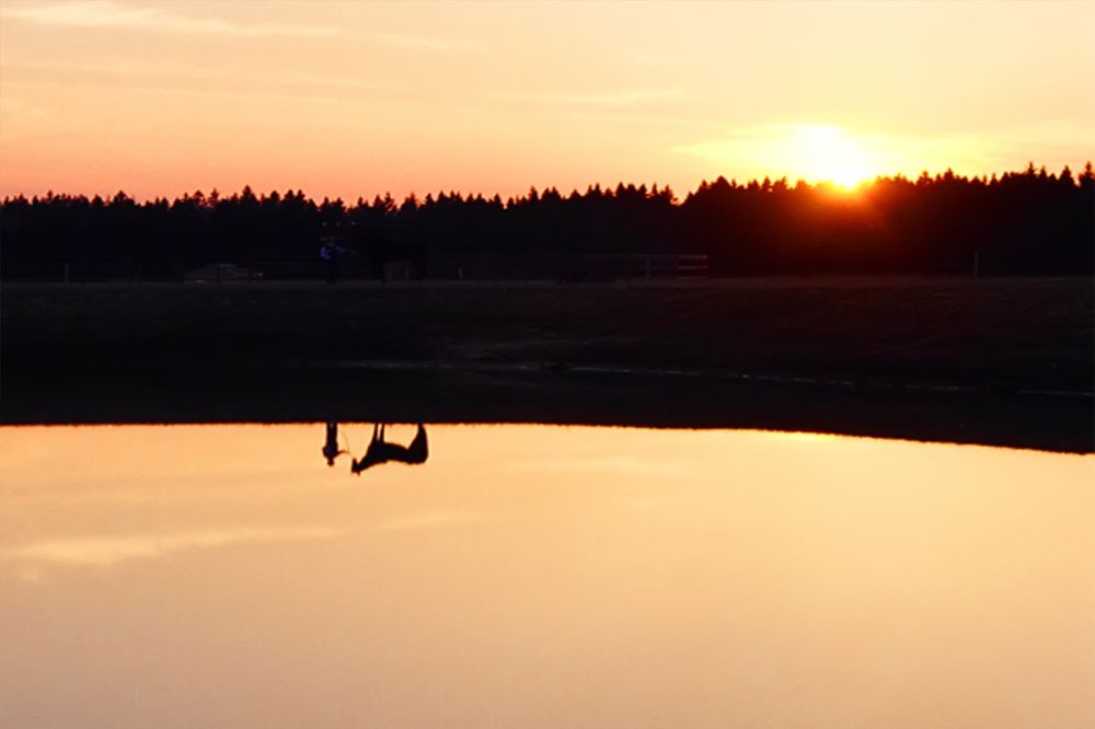 Photograph by Ольга Заповедная