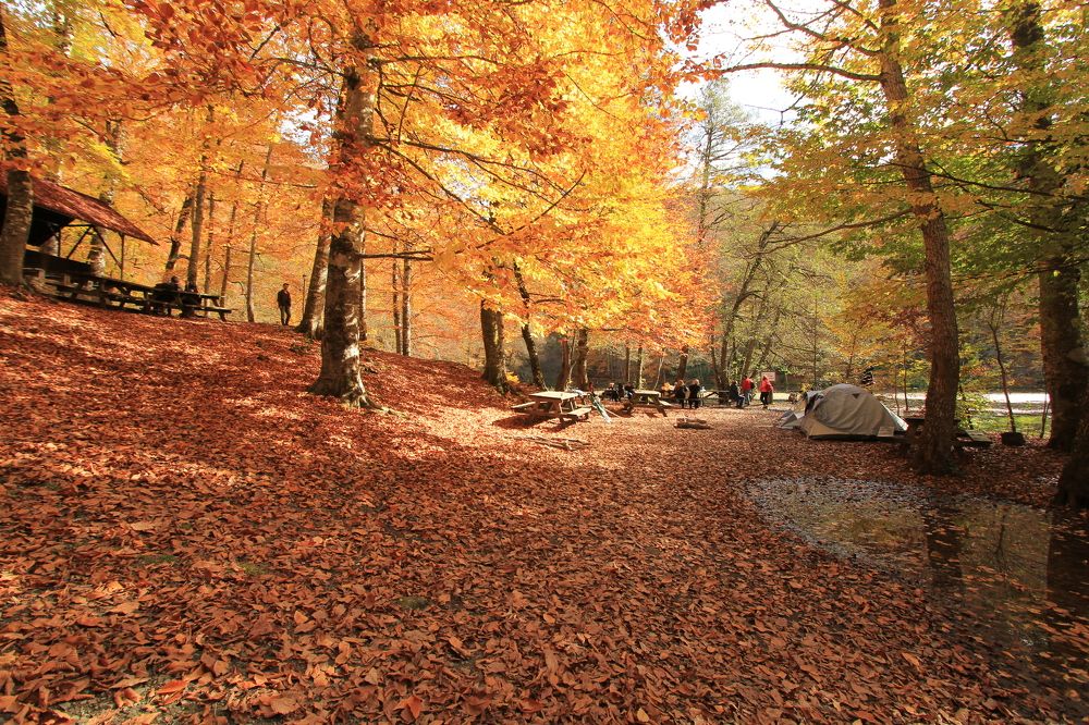 Фотография автора Orhan Bektaş