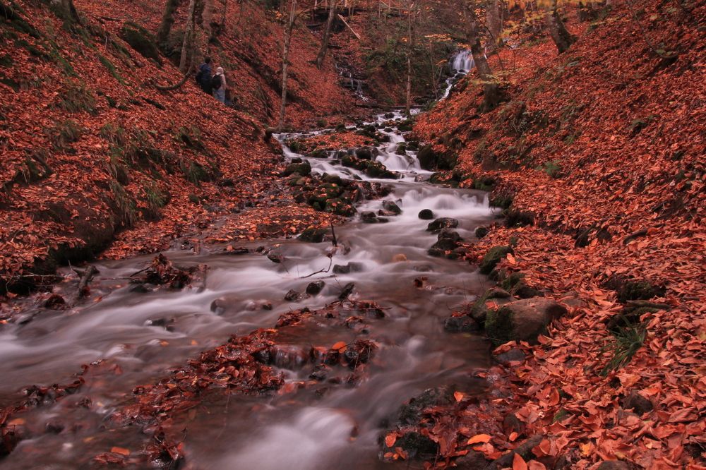 Фотография автора Orhan Bektaş