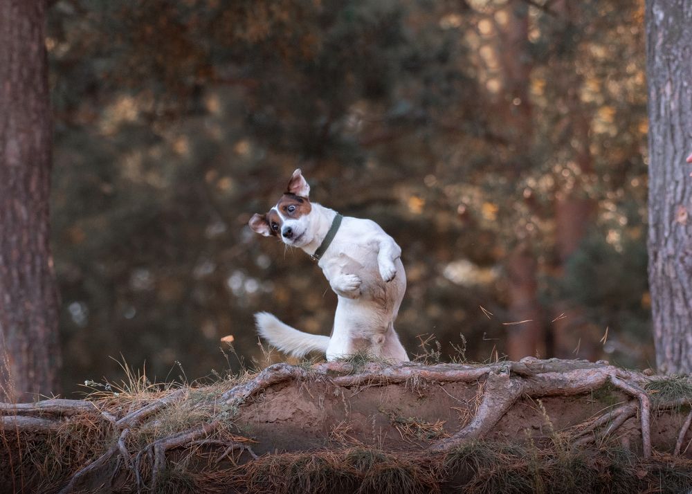 Photograph by Тамара Вотинцева