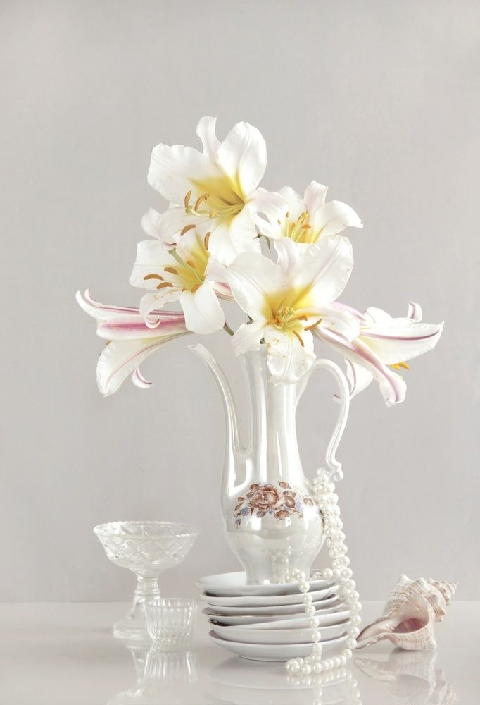 Фотография автора Елена Доянова