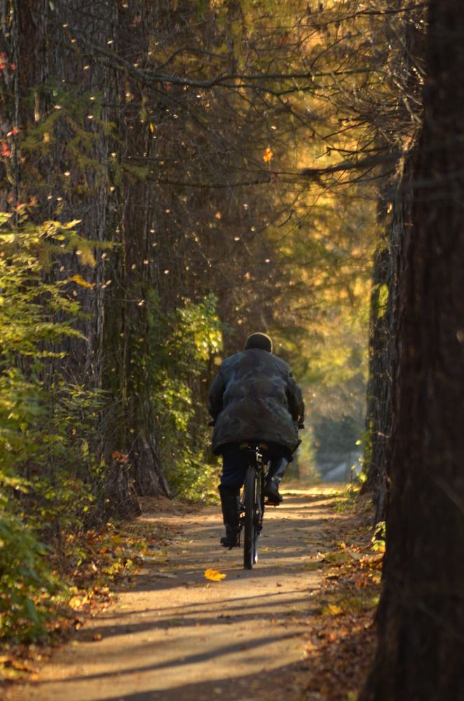 Photograph by Ольга Заповедная